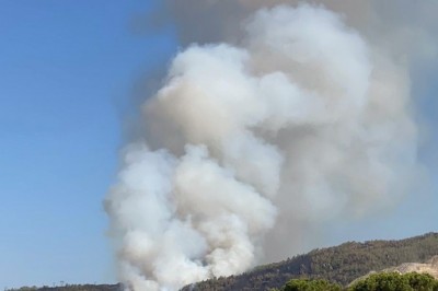 Çine'de orman yangını