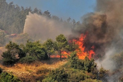 Kahramanmaraş’ta orman yangını
