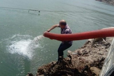 Aydın'da 501 bin sazan su ile buluştu