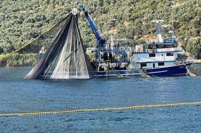 Bursa'da denize deneme ağları atıldı