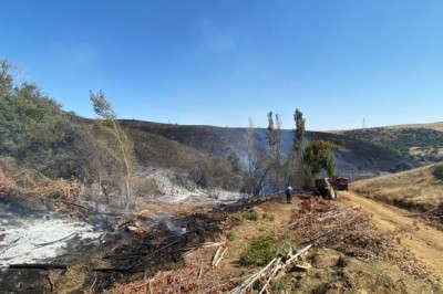 Kaynak makinasından çıkan yangın 300 hektarlık alanı kül etti