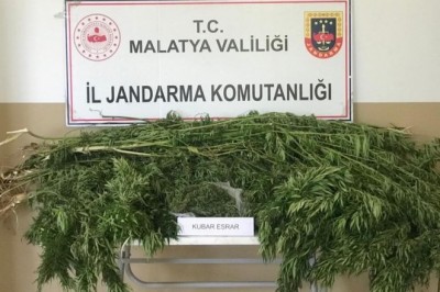 Malatya'da 1 kilo esrar ele geçirildi