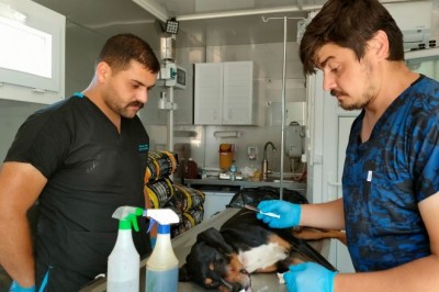 AFET bölgesindeki hayvanlar da unutulmadı