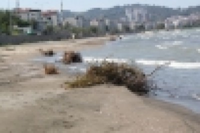 Ordu'da deniz selden aldıklarını geri verdi