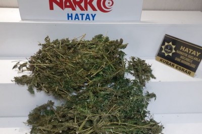 Hatay’da uyuşturucu operasyonu