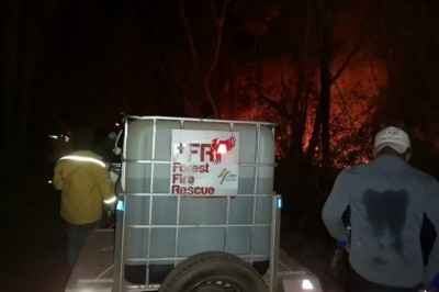 Bolivya’da orman yangınları: 280 bin hektarlık alan küle döndü