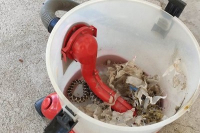 Elektrikli süpürgeden yılan çıktı