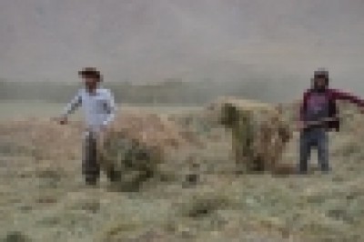 Yaylalarda son demler, zorlu mesaiye kuraklık engeli