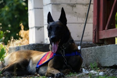 Dünyada sadece Türkiye başarılı olabildi: Su altında 8 ceset buldular