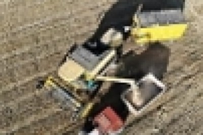 Tokat’ta buğday rekoltesinde artış bekleniyor