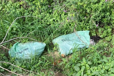 Aynı yere ikinci kez 3 çuval dolusu ölü tavuk attılar