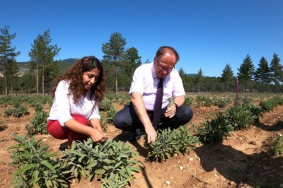 Kaymakam Türköz, Tıbbi Aromatik ve Bitki Bahçesini gezdi