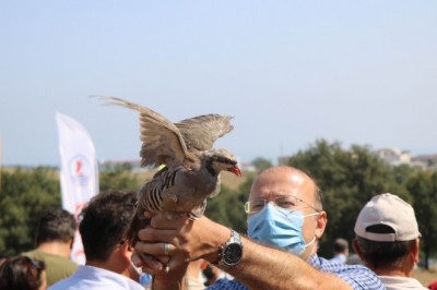 OMÜ’de kampüse keklik ve sülün salındı