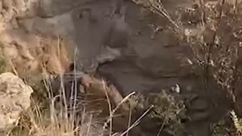 Uçuruma düşen araçtaki 3 kişi burunları bile kanamadan kurtuldu