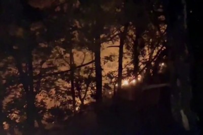 Bursa'da yıldırım düştü, ormanlık alanda yangın çıktı