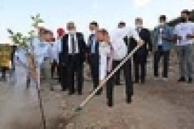 Ali Dağı’na 1922 yılına özel 1922 fidan dikildi