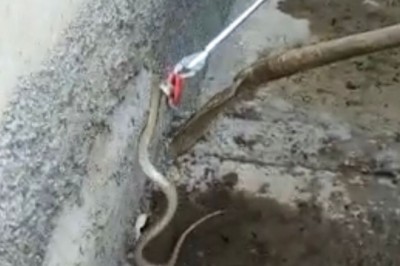 Eve giren yılanı ekipler çıkardı