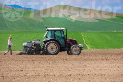 Türkşeker’den çiftçilere 650 milyon liralık destek